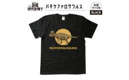 【ふるさと納税】恐竜・古代生物Tシャツ　パキケファロサウルス 036　サイズＭ（レギュラー）