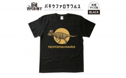 【ふるさと納税】恐竜・古代生物Tシャツ　パキケファロサウルス 036　サイズＬ（レギュラー）
