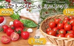 【ふるさと納税】＜特別栽培農産物＞ファームサイドミニトマトセット（ミニ1kg＆ベリー800g） 野菜 特別栽培 農産物 サラダ ピクルス 炒