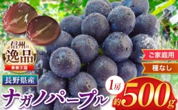 【ふるさと納税】2024年発送 ナガノパープル 500g (1房) 家庭用