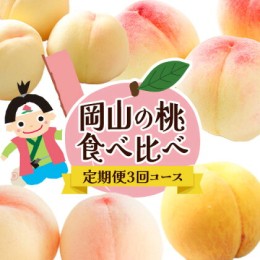 【ふるさと納税】【先行予約】岡山の桃食べ比べ定期便3回コース 株式会社山博 (中本青果)《2024年7月上旬から9月下旬発送予定》岡山県 浅