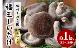 【ふるさと納税】【2024年11月発送】福王しいたけ 大サイズ 約1kg