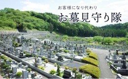 【ふるさと納税】お客様になり代わりお墓見守り隊[?5337-0253]