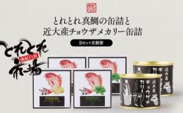 【ふるさと納税】とれとれ真鯛の缶詰と近大産チョウザメカリー缶詰Bセット 缶詰め 缶詰 缶詰セット カレー 鯛 レトルト 非常食 保存食 防