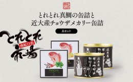 【ふるさと納税】とれとれ真鯛の缶詰と近大産チョウザメカリー缶詰Aセット 缶詰め 缶詰 缶詰セット カレー 鯛 レトルト 和歌山県 白浜町 