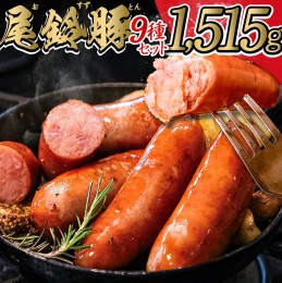 【ふるさと納税】【PREMIUM PORK】尾鈴豚ハム・ソーセージ 詰め合わせ 9種 【 数量限定 肉 豚肉 ぶた 豚 国産 九州産 宮崎県産 ウインナ