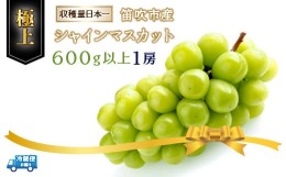 【ふるさと納税】＜2024年先行予約＞笛吹市産シャインマスカット（極上）1房　600g以上 210-006