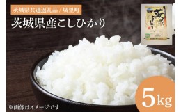 【ふるさと納税】IH-1049　茨城県産こしひかり　5kg　（茨城県共通返礼品/城里町）