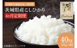 【ふるさと納税】IH-2057　【4ヶ月定期便】茨城県産こしひかり　計40kg（10kg×4回）（茨城県共通返礼品/城里町）