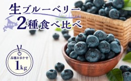 【ふるさと納税】【2024年7月25日以降発送】青果ブルーベリーおまかせ２品種食べ比べセット1kg（250g×4パック）＜アイケイファーム余市