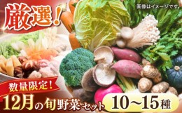 【ふるさと納税】【数量限定・先行予約12】厳選！旬を味わう高槻野菜詰合せセット（10種〜15種）【2024年12月発送】