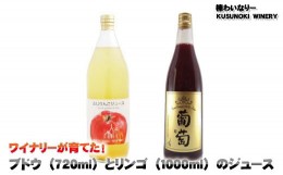 【ふるさと納税】[No.5657-3889]ワイナリーが育てた！ブドウ（720ml）とリンゴ（1000ml）のジュース 2本セット《楠わいなりー》