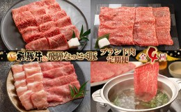 【ふるさと納税】【定期便 4回】 飛騨牛 ＆ なっとく豚 定期便 4回 牛肉 / 豚肉 食べ比べ (焼肉 / すき焼き / しゃぶしゃぶ / 豚しゃぶ) 