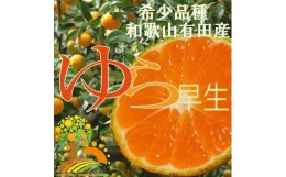 【ふるさと納税】【先行予約】＼数量限定／ 希少品種 ゆら早生みかん 約14kg【2024年10月上旬頃より順次発送】