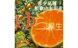 【ふるさと納税】【2024年秋頃発送予約分】＼光センサー選別／ 【農家直送】先行予約 甘くて濃厚！希少品種 ゆら早生みかん　【7kg×2箱