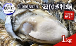 【ふるさと納税】訳あり 北海道 厚岸産 殻付き 牡蠣 1kg