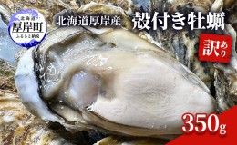 【ふるさと納税】訳あり 北海道 厚岸産 殻付き 牡蠣 350g