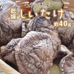 【ふるさと納税】八千代町産 乾燥 しいたけ 約40g 椎茸 シイタケ きのこ キノコ 乾燥 ふるさと納税 6000円 茨城県 八千代町 [CW004ya]