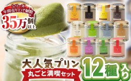 【ふるさと納税】【6月発送予定】浜んまちPUDDING プリンづくし 12種類 詰め合わせ 80g×12個 セット 長崎市/合同会社デルカ [LMT003]