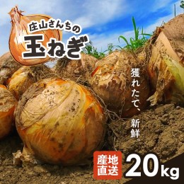 【ふるさと納税】玉ねぎ『庄山さんち』の玉ねぎ 20kg ＜2024年5月下旬頃より順次発送＞ | 熊本県 和水町 くまもと なごみまち 玉ねぎ 季