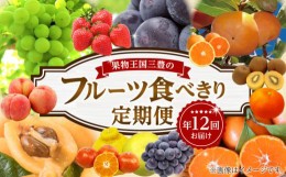 【ふるさと納税】M02-0204_フルーツ食べきり定期便年12回