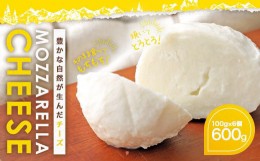 【ふるさと納税】石坂ファーム KUMAMOTO モッツァレラ チーズ 100g×6個