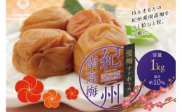 【ふるさと納税】最高級紀州南高梅・大粒優梅 1kg　無添加【ご家庭用】 / 梅干 梅干し 梅 うめ 南高梅 家庭用【inm510】