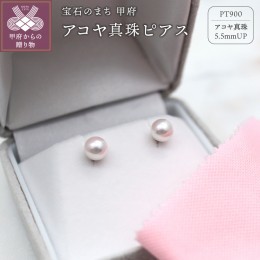 【ふるさと納税】Pt900 アコヤ真珠 5.5mm ピアス