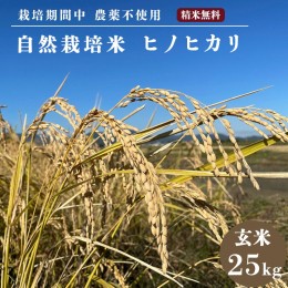 【ふるさと納税】自然栽培米 ヒノヒカリ 玄米 25kg 　京都府・亀岡産 令和5年産 栽培期間中農薬不使用 亀岡オーガニックアクションがお届