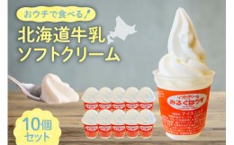 【ふるさと納税】おウチで食べる北海道牛乳ソフトクリームセット10個入り