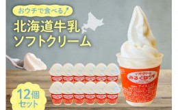 【ふるさと納税】おウチで食べる北海道牛乳ソフトクリームセット12個入り