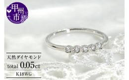 【ふるさと納税】指輪 天然 ダイヤモンド 0.05ct ピンキー ミル打ち 小指 SIクラス【K18WG】r-123（KRP）G31-1410