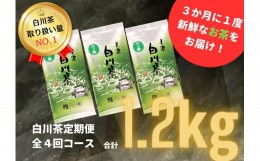 【ふるさと納税】?248　白川茶定期便　全４回コース