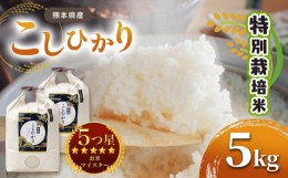 【ふるさと納税】特別栽培米 熊本県産 こしひかり 5kg | 米 お米 こしひかり コシヒカリ 5？ 有機肥料 栽培期間中農薬不使用 熊本県産