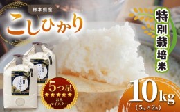 【ふるさと納税】特別栽培米 熊本県産 こしひかり 10kg  ( 5kg ×2）| 米 お米 こしひかり コシヒカリ 10？ 5？ 有機肥料 栽培期間中農薬