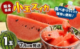 【ふるさと納税】【7月以降発送 】 スイカ 王国 熊本 ！ 小玉 すいか 1玉 ｜果物 くだもの フルーツ すいか スイカ 西瓜 小玉 熊本県産 