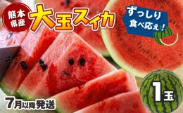 【ふるさと納税】【7月以降発送 】 スイカ 王国 熊本 ！ 大玉 すいか 1玉 ｜果物 くだもの フルーツ すいか スイカ 西瓜 大玉 熊本県産 