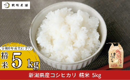 【ふるさと納税】新潟県産コシヒカリ(従来品種) 5kg こしひかり 白米 食味検査で高評価  [飯塚農園] 【010S440】