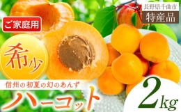 【ふるさと納税】家庭用あんずハーコット 2kg