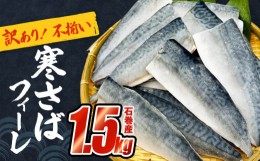 【ふるさと納税】〈 訳あり 〉 石巻産 寒さばフィーレ 無塩 さば フィレ 1.5kg  鯖 切身 焼魚 魚 宮城県 