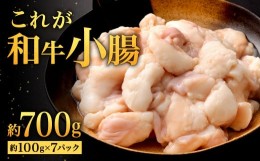 【ふるさと納税】これが和牛小腸 約700g (約100g×7パック)