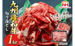 【ふるさと納税】訳あり 牛肉 九州産 和牛 切り落とし 500g×2p 計1kg [日本ハムマーケティング 宮崎県 日向市 452060541] 肉 牛 すき焼