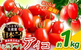 【ふるさと納税】ミニトマト アイコ 約 1kg トマト 熊本 サザキ農園 野菜 ミニトマト 生産量 日本一 玉名市 !!