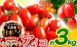 【ふるさと納税】ミニトマト アイコ 約 3kg サザキ農園 | 野菜 やさい トマト とまと ミニトマト アイコ 熊本県 玉名市 生産量 日本一 玉