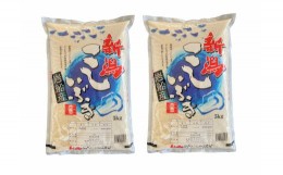 【ふるさと納税】【令和5年産米】 新潟県産 こしいぶき 5kg×2袋（合計10kg） 精米 お米 白米 1033001