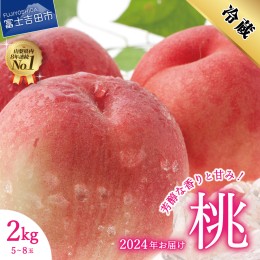 【ふるさと納税】【2024年先行予約】山梨県産 桃 約2kg(5〜8 玉) 5〜8 玉 もも 白鳳系 白桃系 果物 山梨 山梨県産 もも フルーツ ギフト 