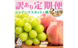 【ふるさと納税】＜発送月固定定期便＞訳あり ご家庭用 山梨県産 桃・シャインマスカット 全2回【4009880】