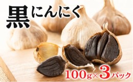 【ふるさと納税】[?5311-0981]黒にんにく 100g×3パック セット (2) にんにく 加工品