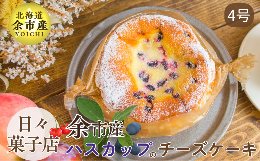 【ふるさと納税】【先行受付・数量限定】日々菓子店 こだわりのチーズケーキ ハスカップ【余市産の新鮮フルーツ使用】