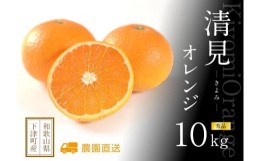 【ふるさと納税】清見オレンジ 10kg (M・L・２L・３Lサイズおまかせ)《赤秀》和歌山県より農園直送！まごころ産直みかん【北海道・沖縄県